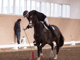 IMG_3153_web